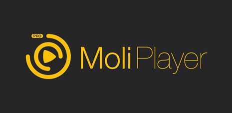 MoliPlayer Pro — отличный медиаплеер для Nokia Lumia